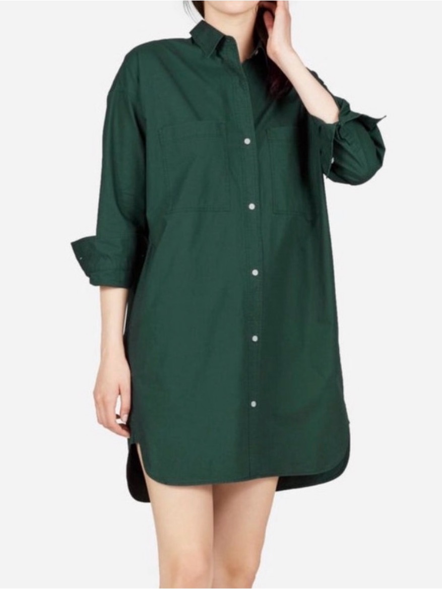Everlane Shirtdress Button Front 100% Cotton